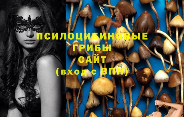 MESCALINE Медвежьегорск
