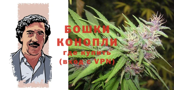 тгк Мегион