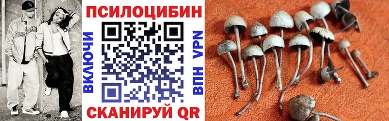ОМГ ОМГ зеркало  Вуктыл  Псилоцибиновые грибы мухоморы 